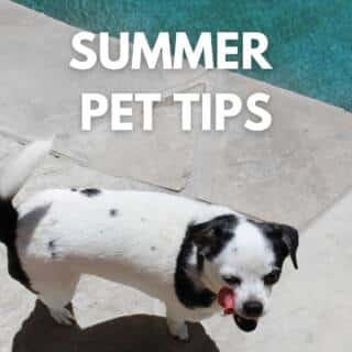 Summer tips