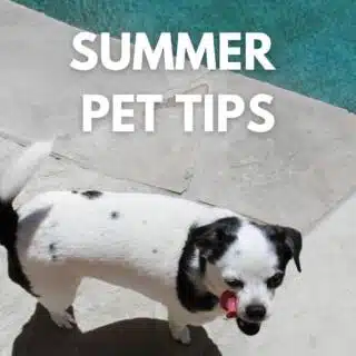 Summer tips