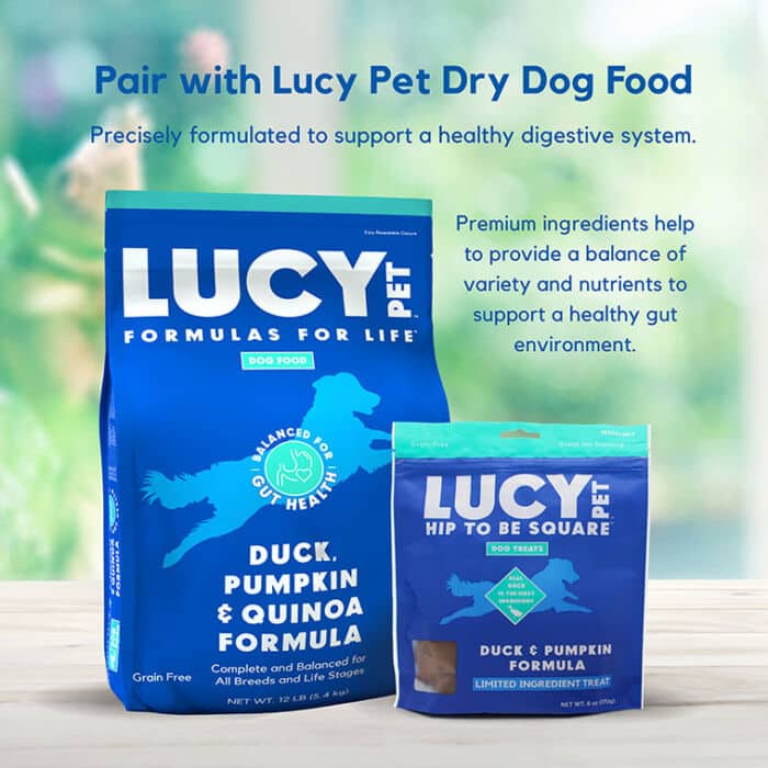Hip to Be Square™ Duck and Pumpkin Dog Treats - Image 2
