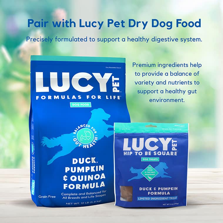 Hip to Be Square™ Duck and Pumpkin Dog Treats - Image 2
