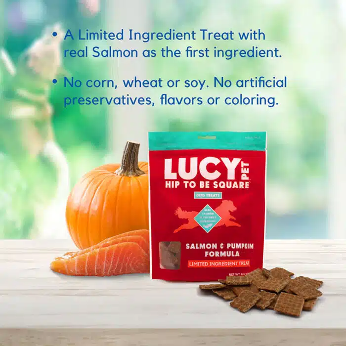 Hip to Be Square™ Salmon and Pumpkin Dog Treats - Image 6