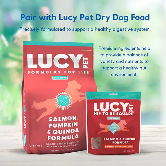 Hip to Be Square™ Salmon and Pumpkin Dog Treats - Image 7