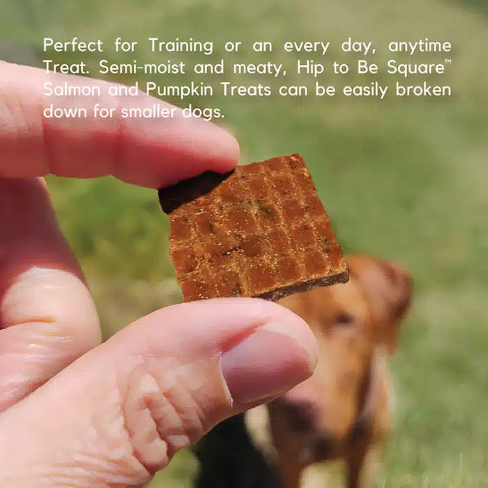 Hip to Be Square™ Salmon and Pumpkin Dog Treats - Image 3