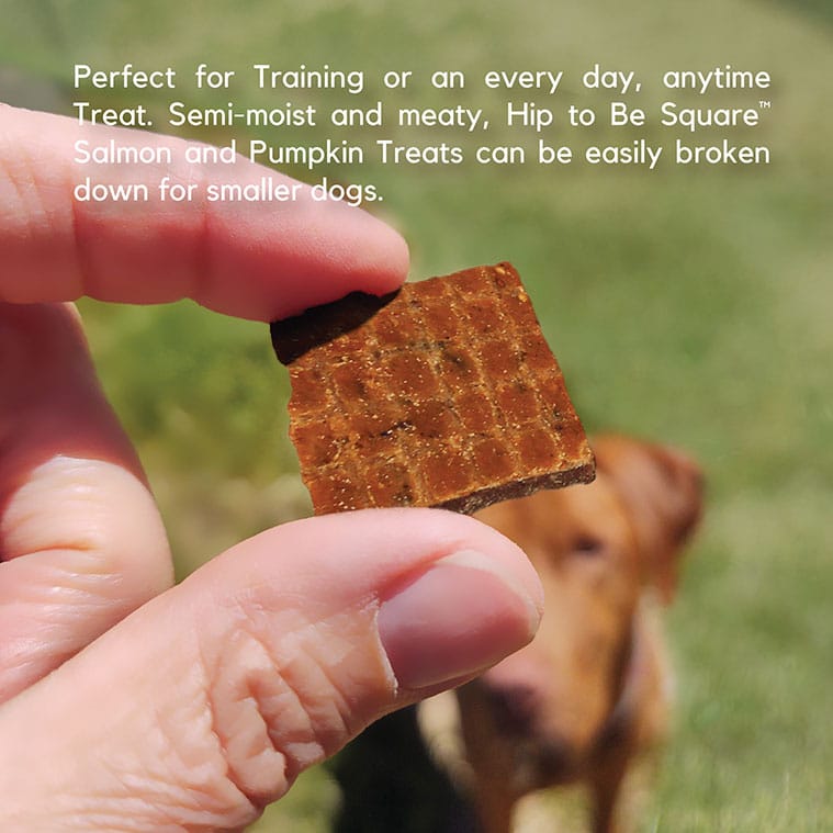Hip to Be Square™ Salmon and Pumpkin Dog Treats - Image 5
