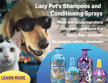 F A Q S Shampoo And Conditioning Sprays Product With A Cause