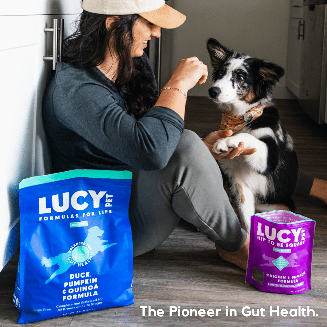 Lucy Pet for Gut Health