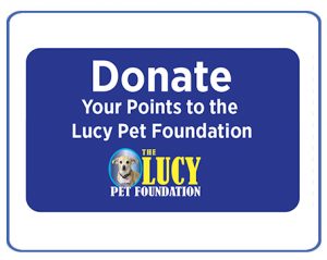 Donate