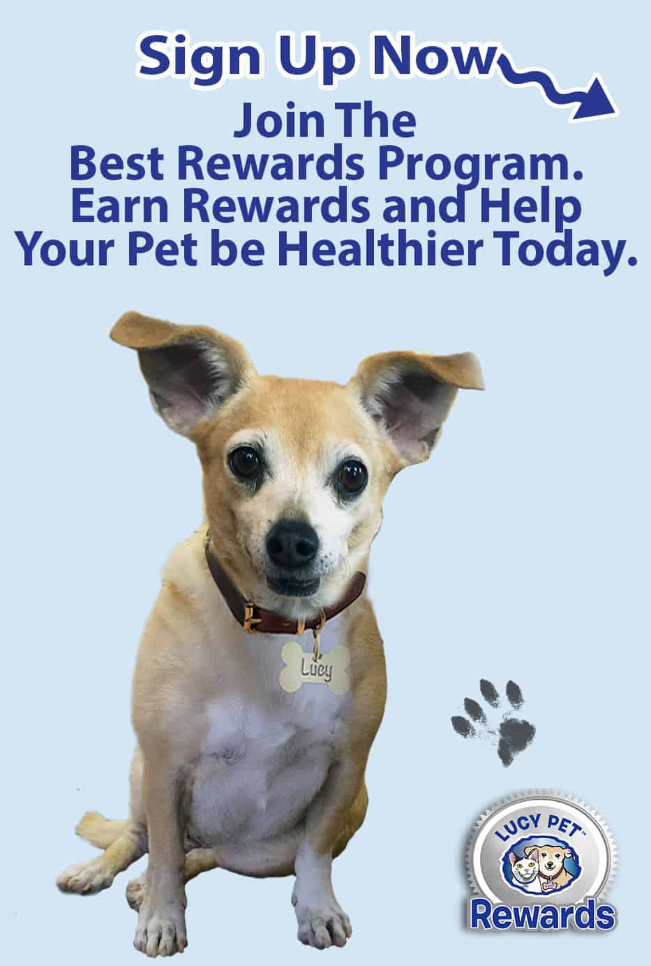 LucyRewards1 | Lucy Pet Products