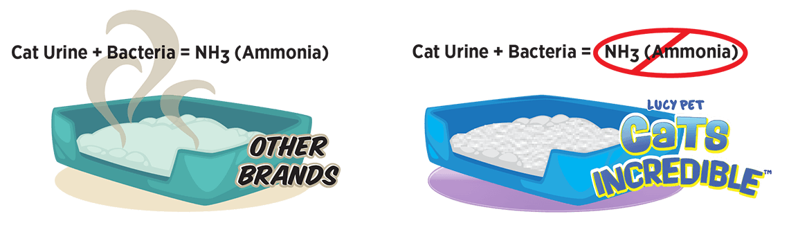 CI_LitterBox_Comparison