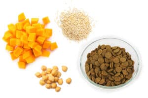Carbohydrates and Grain-free Pet Foods