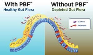 Prebiotic Balanced Fiber