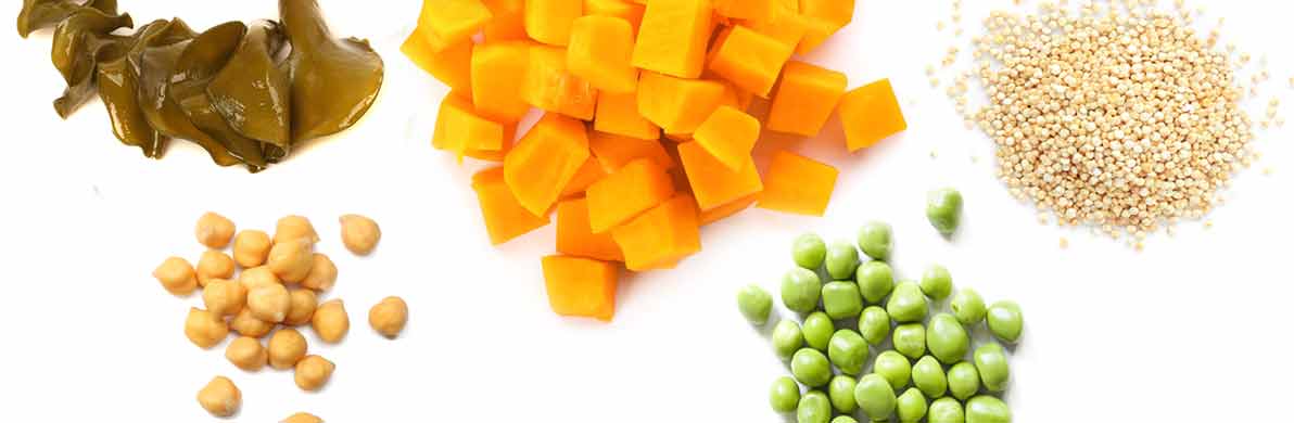 Understanding Nutrition