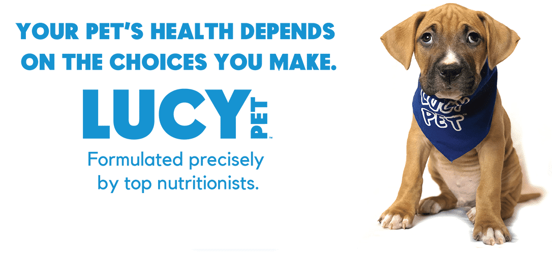 Healthy Natural Pet S Lucy Formulas For Life