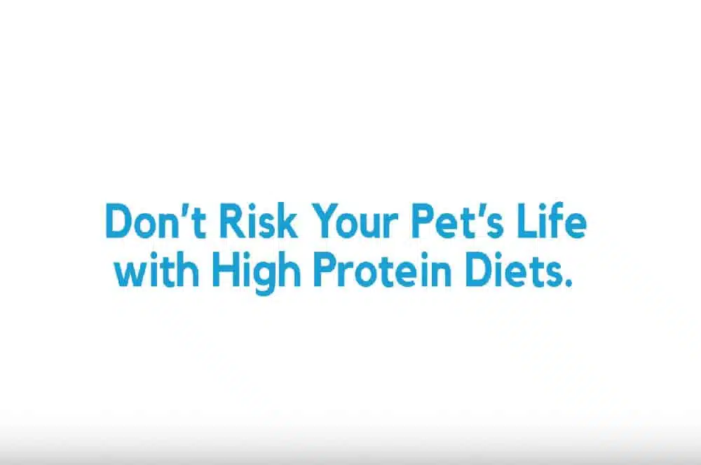 High Protein Diets