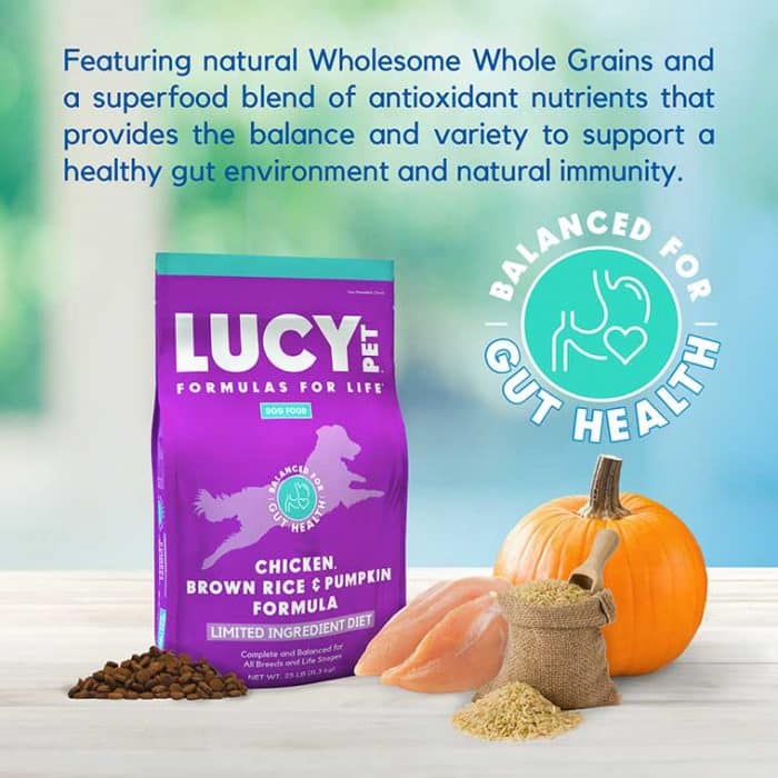 Chicken, Brown Rice & Pumpkin Limited Ingredient Diet Formula Dog Food-Exclusive Gut Health Formula - Image 6