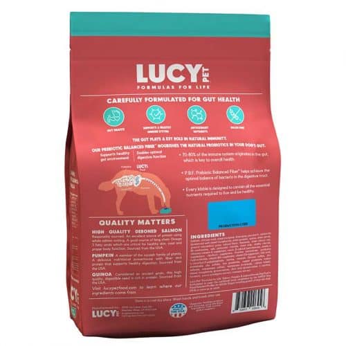 Best SalmonBased, GrainFree Dog Food w/ Pumpkin & Quinoa Lucy Pet Foods