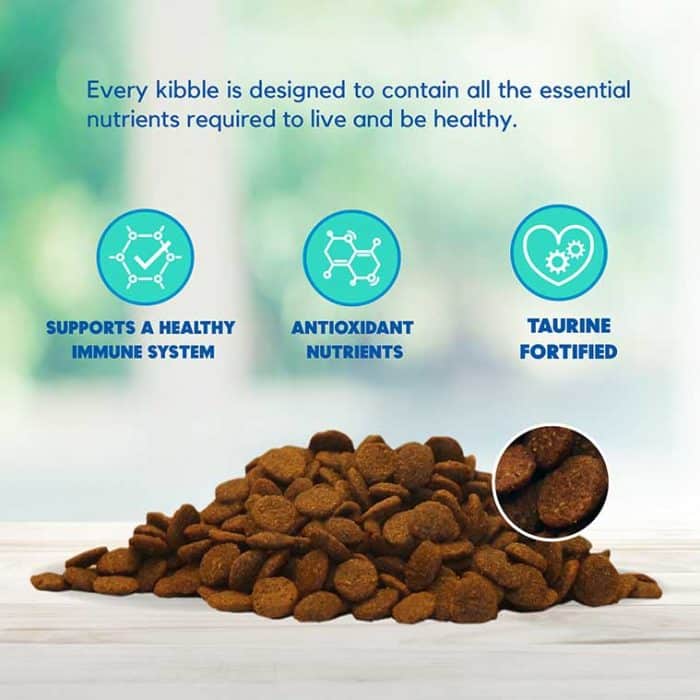 Chicken, Brown Rice & Pumpkin Limited Ingredient Diet Formula Dog Food-Exclusive Gut Health Formula - Image 7