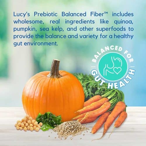 Best SalmonBased, GrainFree Dog Food w/ Pumpkin & Quinoa Lucy Pet Foods