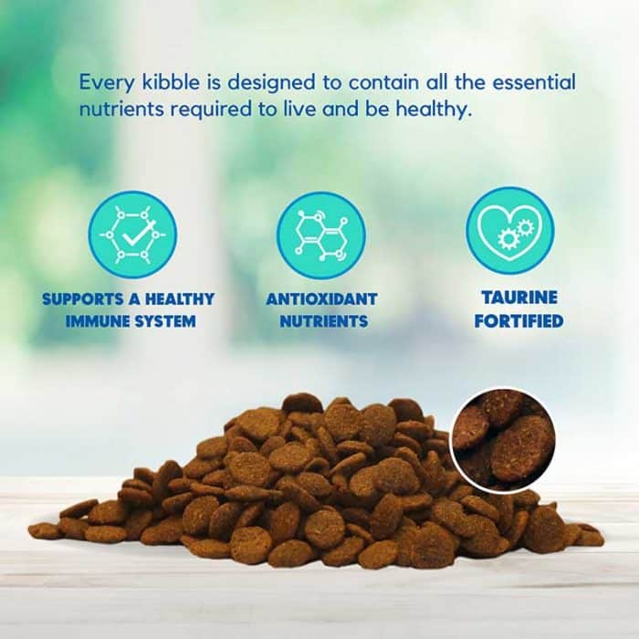 Salmon, Pumpkin & Quinoa Dog Food - Exclusive Gut Health Formula - Image 8