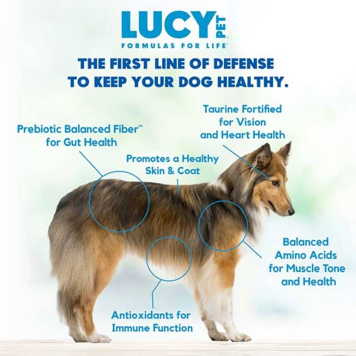 Chicken, Brown Rice & Pumpkin Limited Ingredient Diet Formula Dog Food SMALL BITE 4.5LB - Image 3