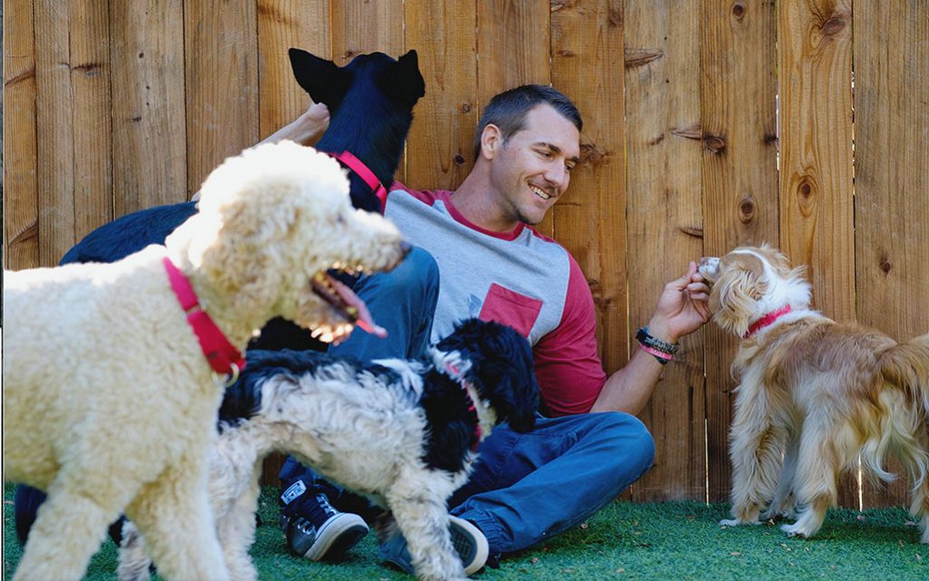 Brandon_Dogs Lucy Pet Products