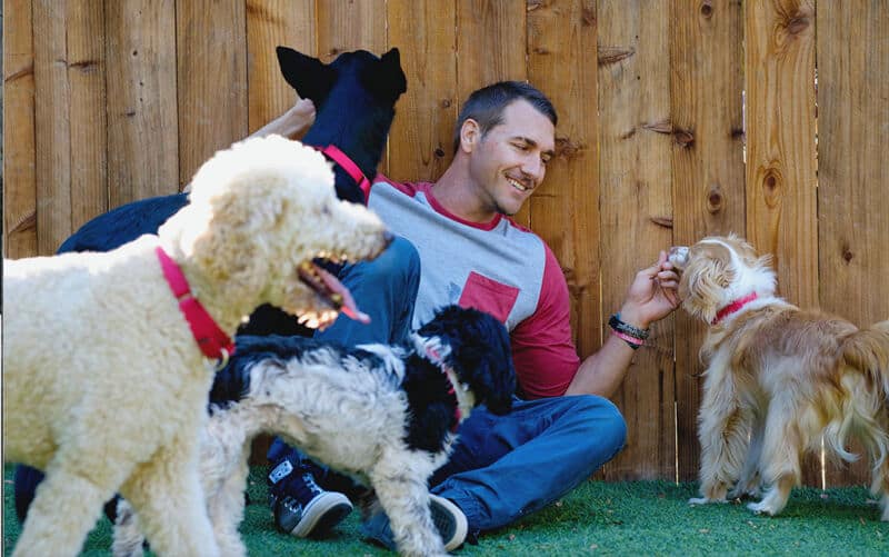 Brandon_Dogs Lucy Pet Products