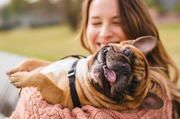 The Dog Digestive System The Dog Digestive System