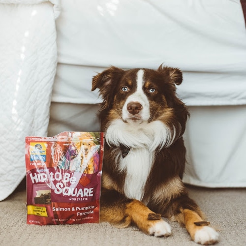 can a australian shepherd eat slim jim