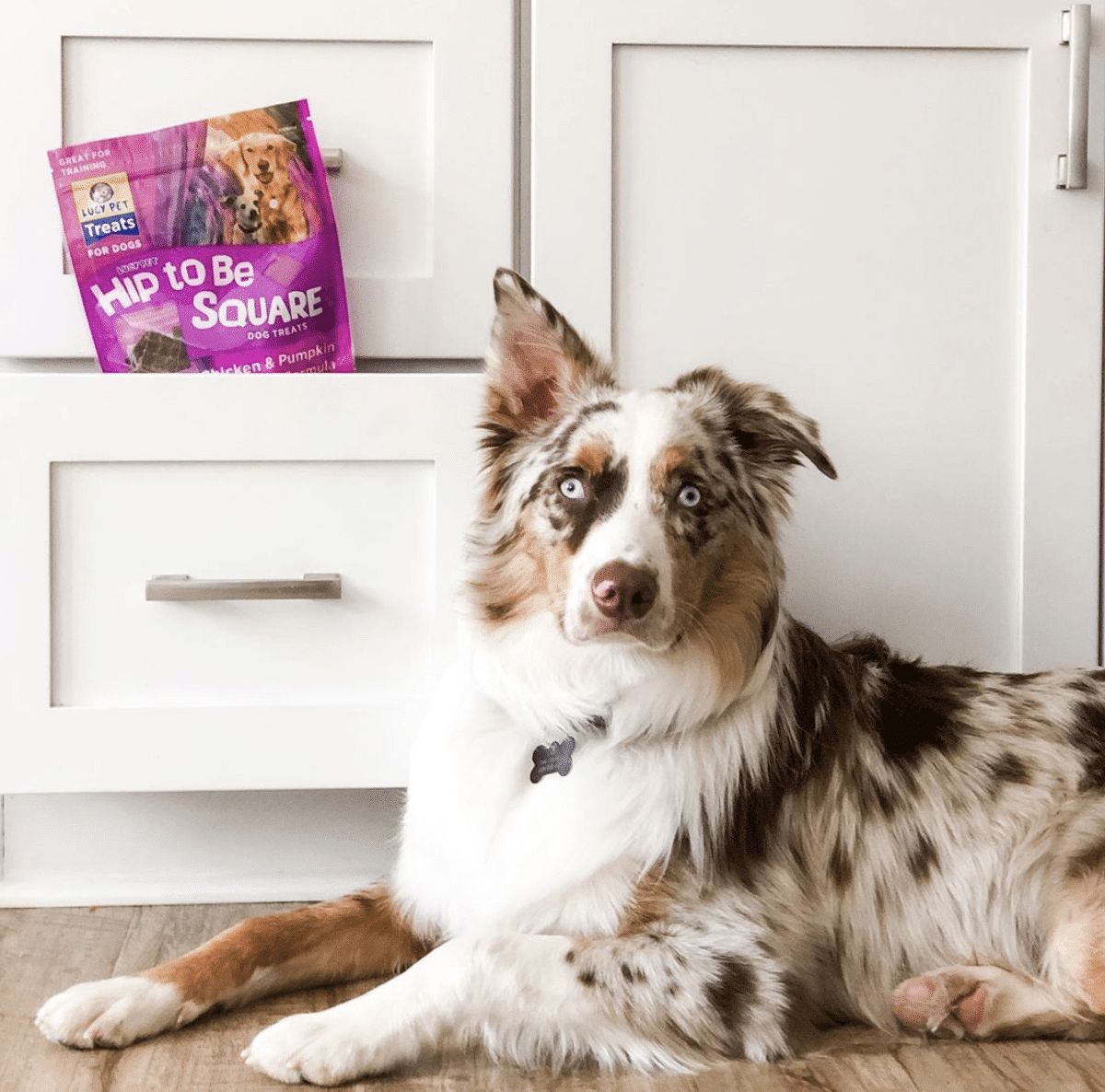 can a australian shepherd eat slim jim