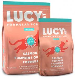 Salmon, Pumpkin & Quinoa Formula