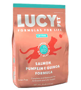 Salmon, Pumpkin & Quinoa Formula cats