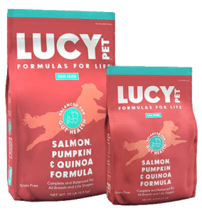 Salmon, Pumpkin & Quinoa Formula