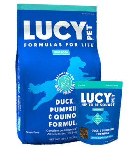 Duck Pumpkin & Quinoa Formula for dogs