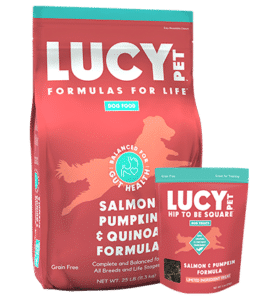 Salmon Pumpkin and Quinoa Formula for dogs
