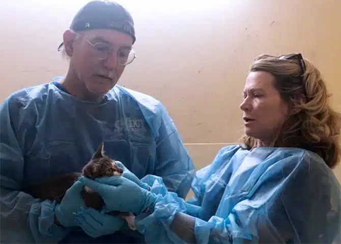 Joey_Doc_Recue_Kitten