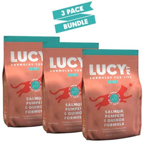 Best Healthy & Natural Dog Food Dry & Wet Food For Your Dog Lucy