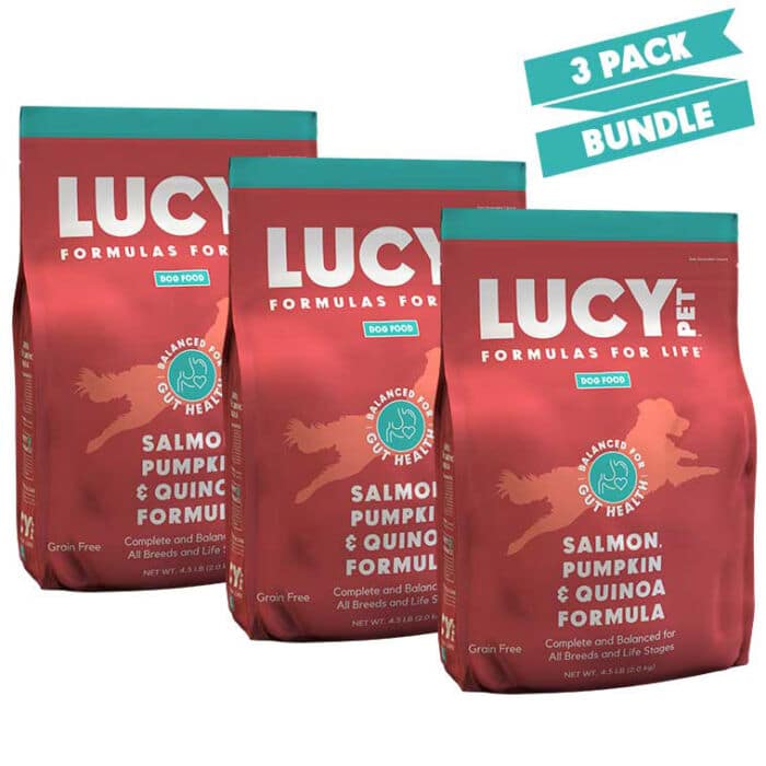 Salmon, Pumpkin & Quinoa Dry Dog Food-3 Pack