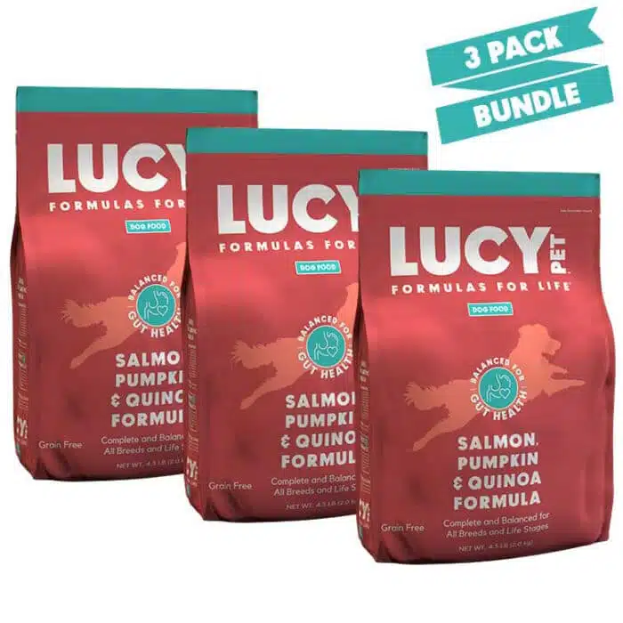 Salmon, Pumpkin & Quinoa Dry Dog Food-3 Pack