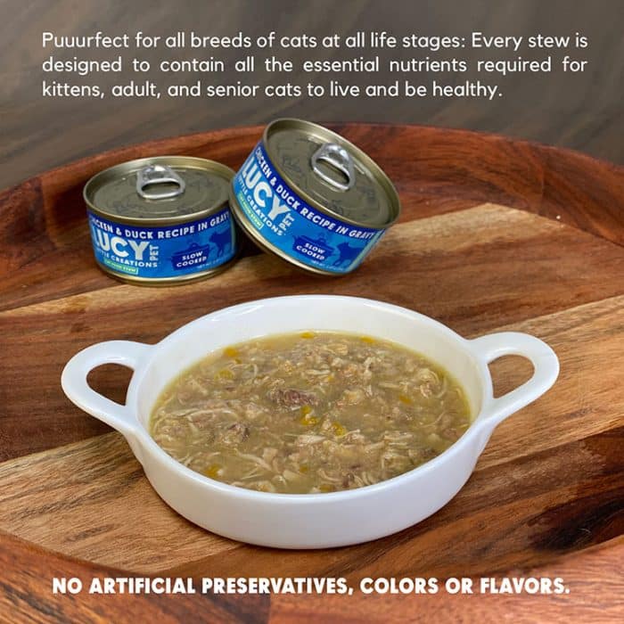 Kettle Creations® Chicken and Duck Cat Recipe in Gravy- Case of 12 - Image 3