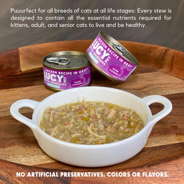 Kettle Creations® Chicken Cat Recipe in Gravy- Case of 12 - Image 3