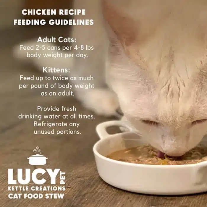 Kettle Creations® Chicken Cat Recipe in Gravy- Case of 12 - Image 5