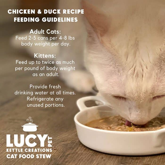 Kettle Creations® Chicken and Duck Cat Recipe in Gravy- Case of 12 - Image 6