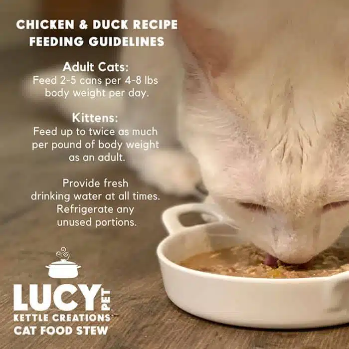 Kettle Creations® Chicken and Duck Cat Recipe in Gravy- Case of 12 - Image 6