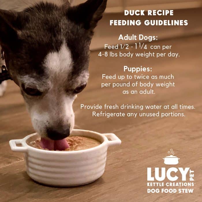 Kettle Creations® Duck Dog Recipe in Gravy- Case of 12 - Image 5
