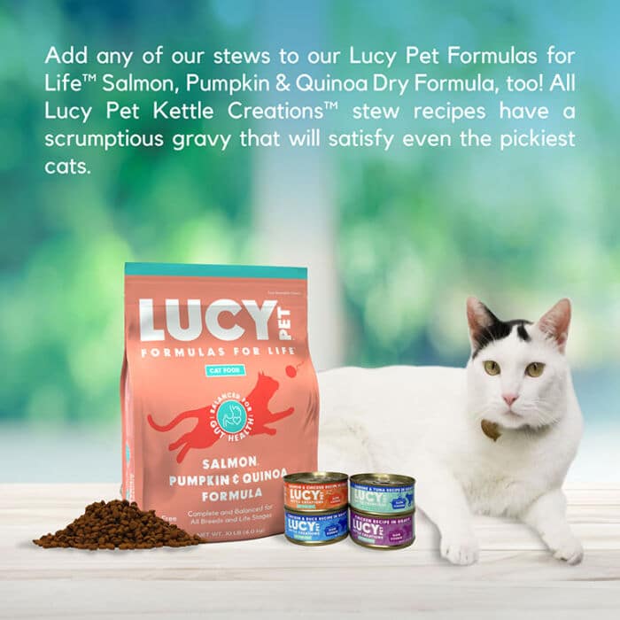 Kettle Creations® Chicken and Duck Cat Recipe in Gravy- Case of 12 - Image 7