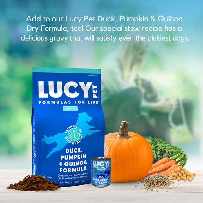 Kettle Creations® Duck Dog Recipe in Gravy- Case of 12 - Image 7