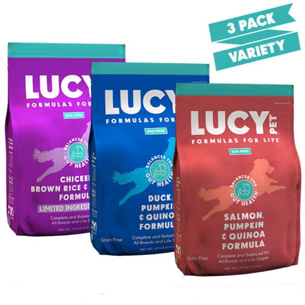 Best Healthy & Natural Dog Food Dry & Wet Food for Your Dog Lucy