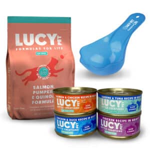 Salmon, Pumpkin & Quinoa cat food