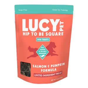 Salmon, Pumpkin & Quinoa Dog Food