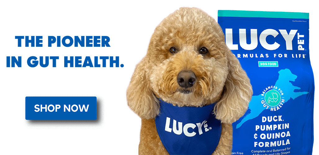 Healthy Natural Pet Products Online Lucy Pet Products